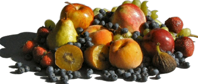 Mixed Fruit Image
